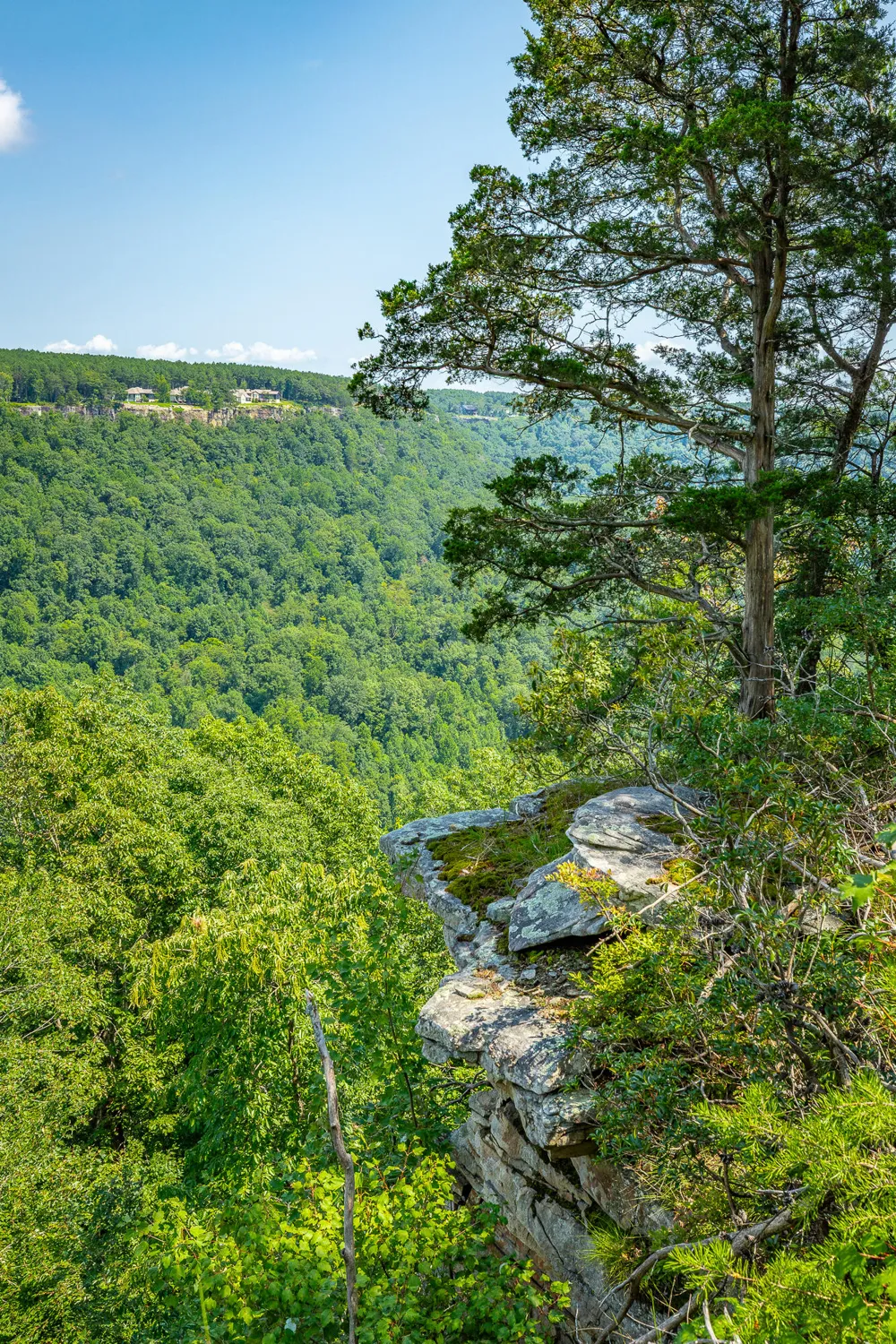 Crockett Loop Jasper, TN 37347