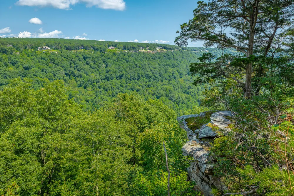 Crockett Loop Jasper, TN 37347