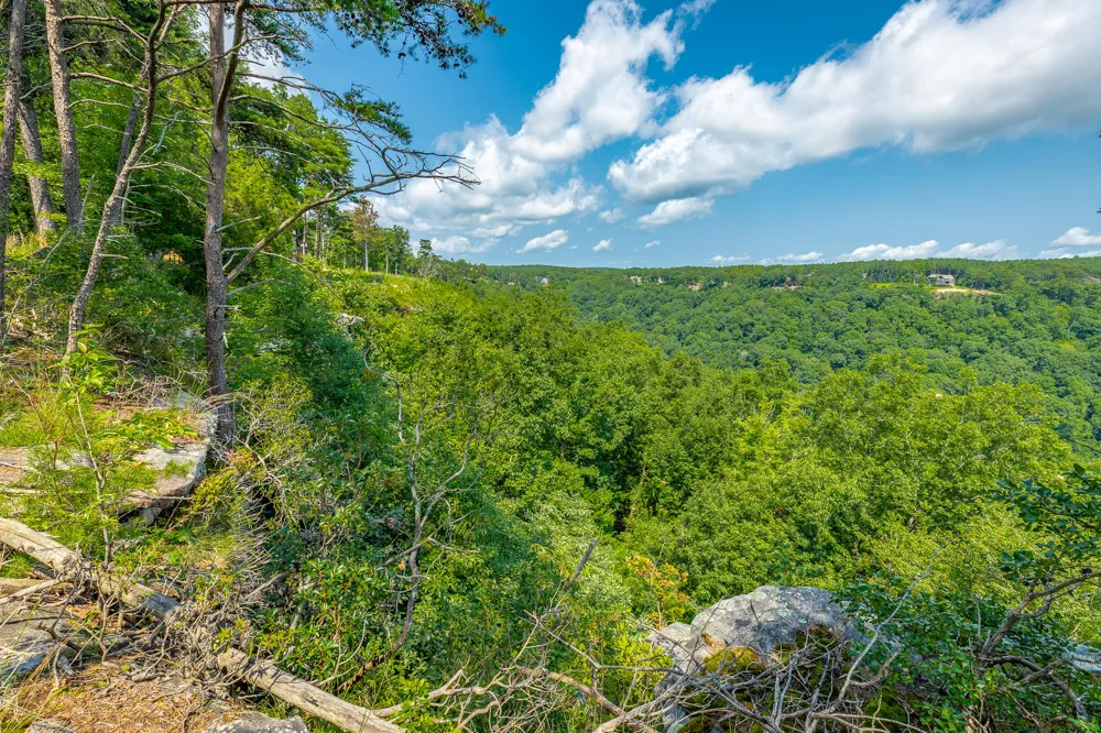 Crockett Loop Jasper, TN 37347