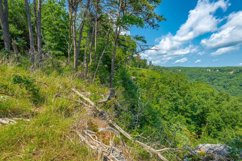 Crockett Loop Jasper, TN 37347