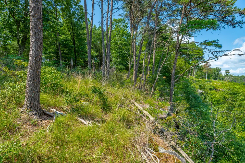 Crockett Loop Jasper, TN 37347