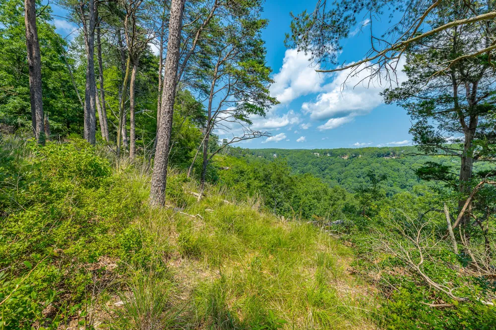 Crockett Loop Jasper, TN 37347