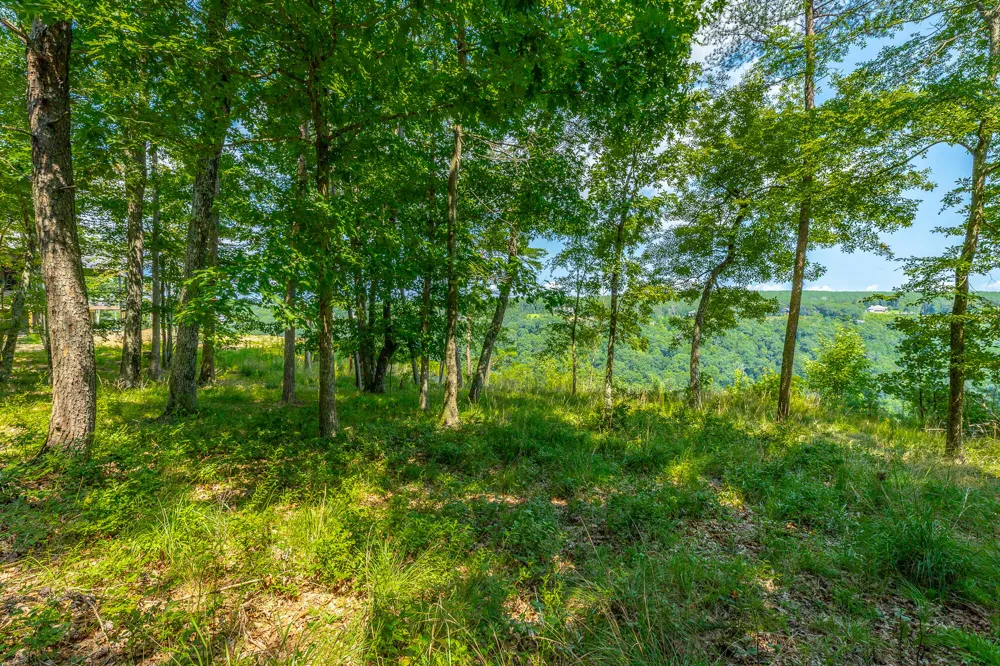 Crockett Loop Jasper, TN 37347