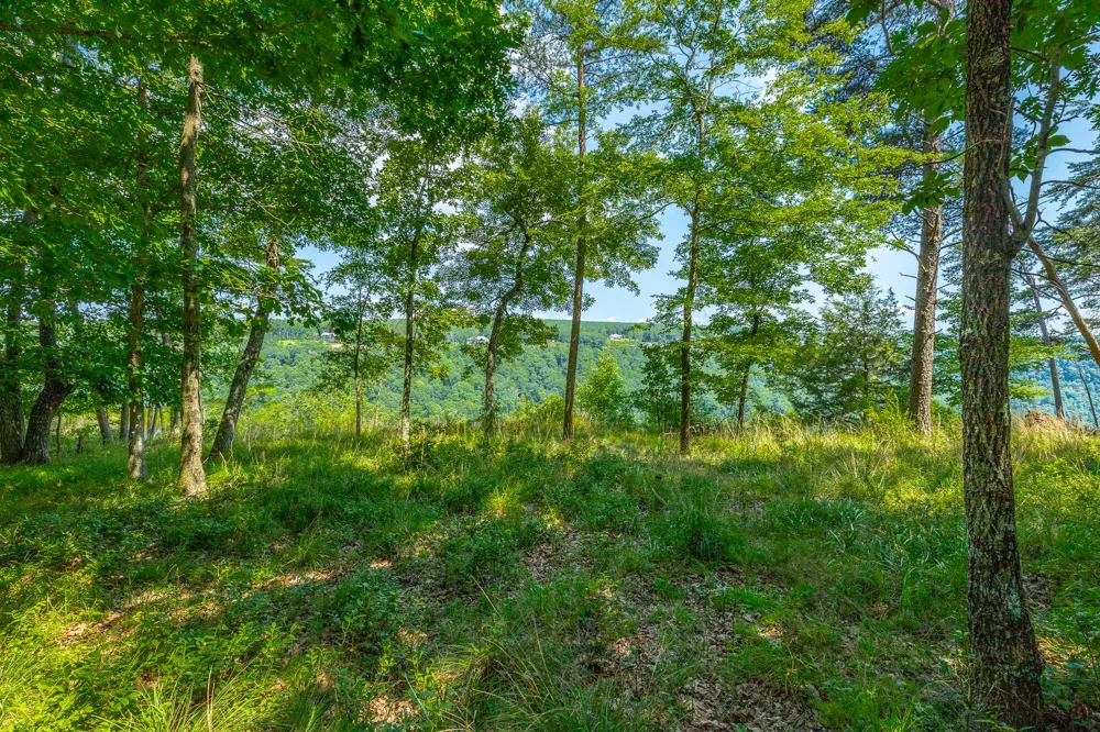 Crockett Loop Jasper, TN 37347