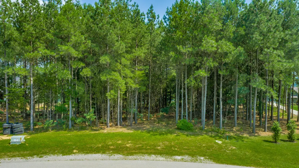 Crockett Loop Jasper, TN 37347