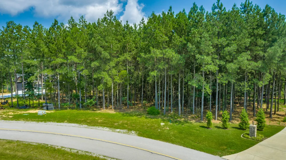 Crockett Loop Jasper, TN 37347