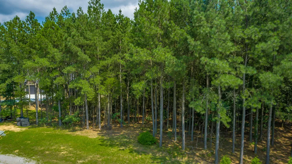 Crockett Loop Jasper, TN 37347