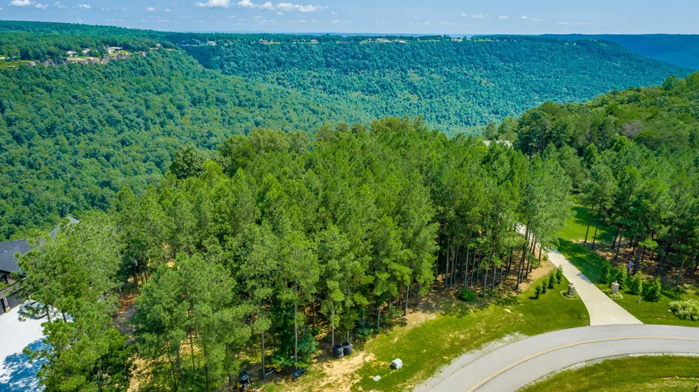 Crockett Loop Jasper, TN 37347