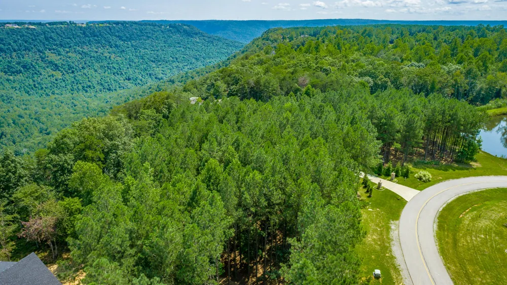 Crockett Loop Jasper, TN 37347