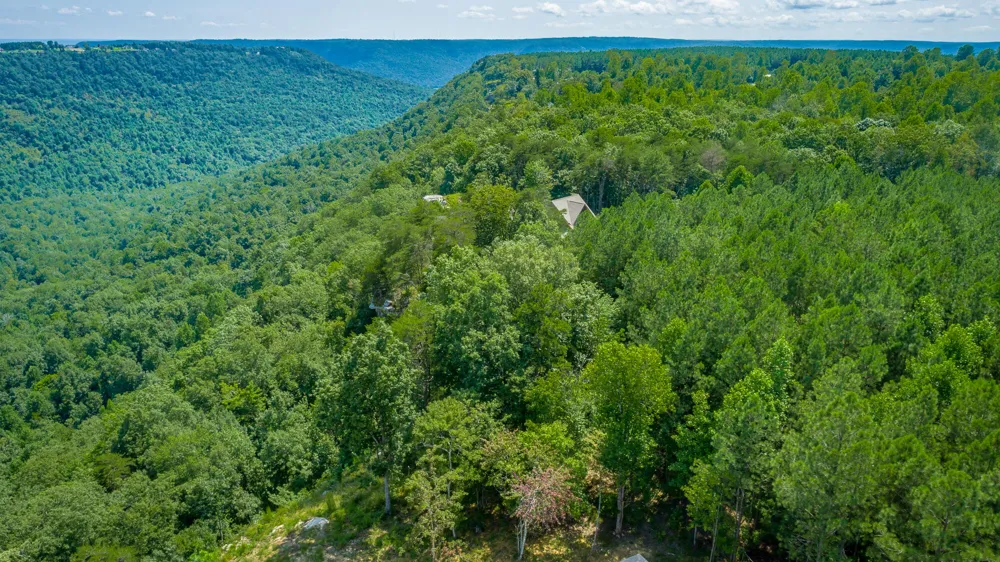 Crockett Loop Jasper, TN 37347