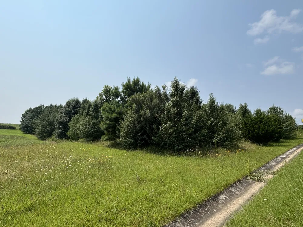 S R 8 DRIVE Dunlap, TN 37327