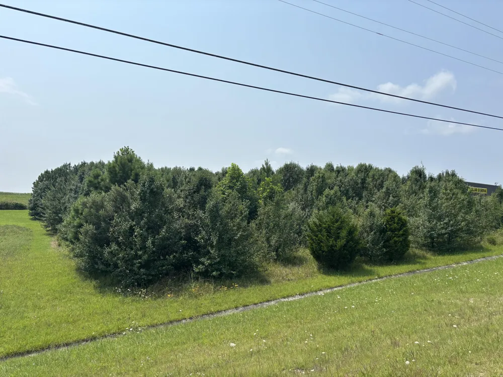 S R 8 DRIVE Dunlap, TN 37327