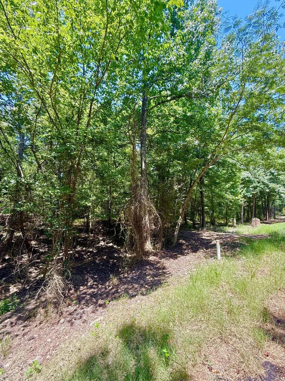 CR 1755 Mt Pleasant, TX 75455