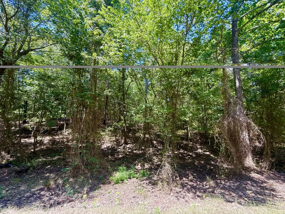 CR 1755 Mt Pleasant, TX 75455