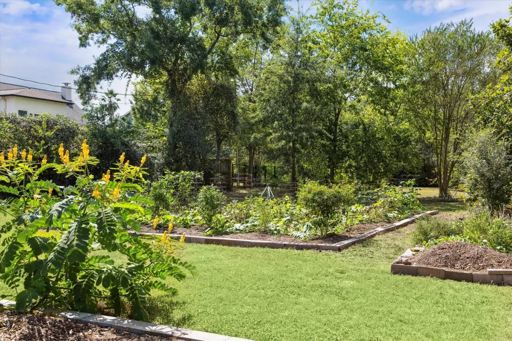 867 W 42nd Street Houston, TX 77018