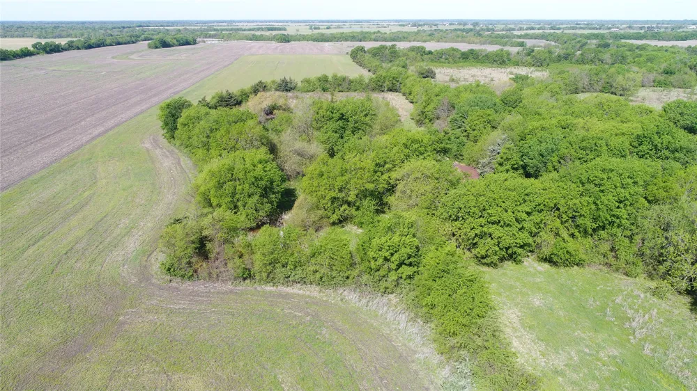 440 Farm to Market 44 Annona, TX 75550