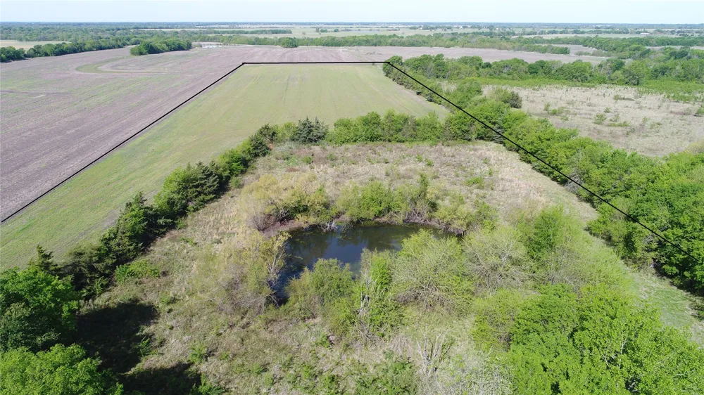 440 Farm to Market 44 Annona, TX 75550