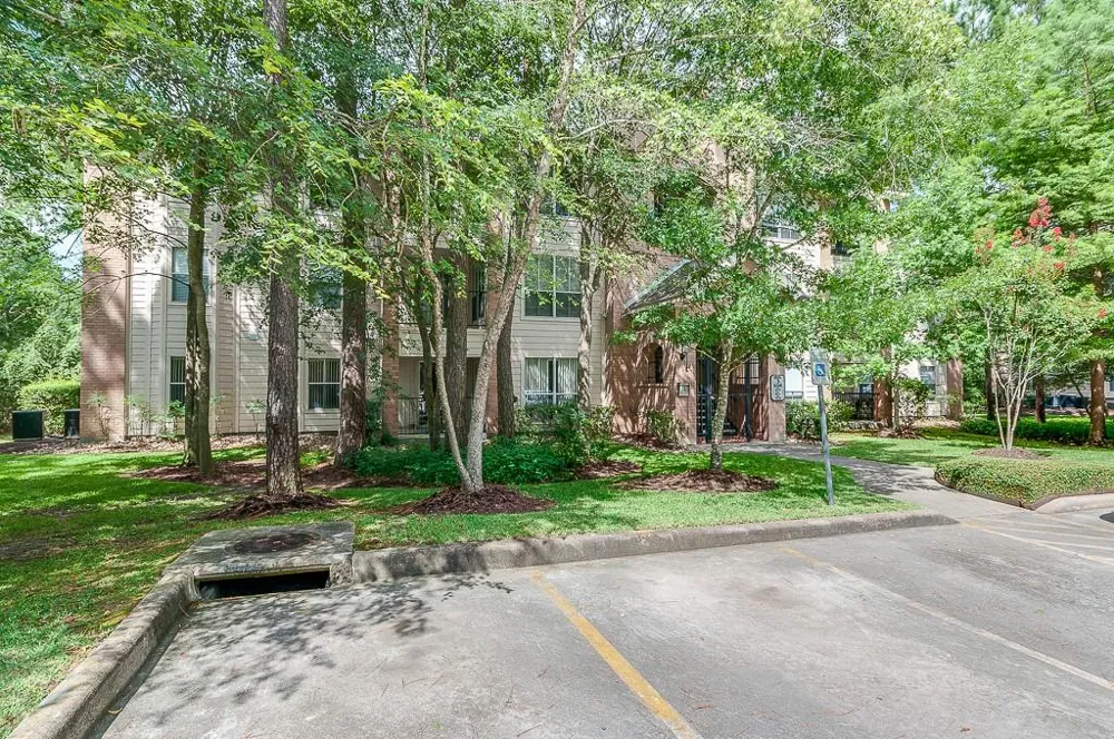 8051 Bay Branch Drive #333 The Woodlands, TX 77382