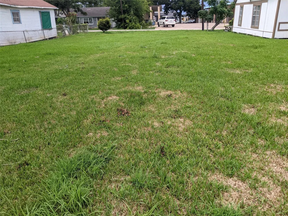 107 Correll Avenue Wharton, TX 77488