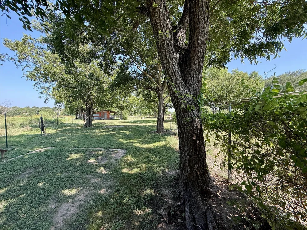 20959 Hwy 281 Hico, TX 76457