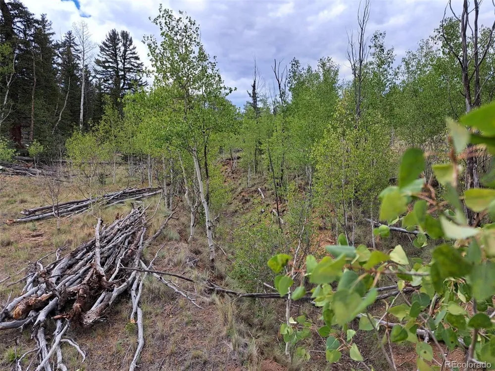 6206 Remington Road Como, CO 80432