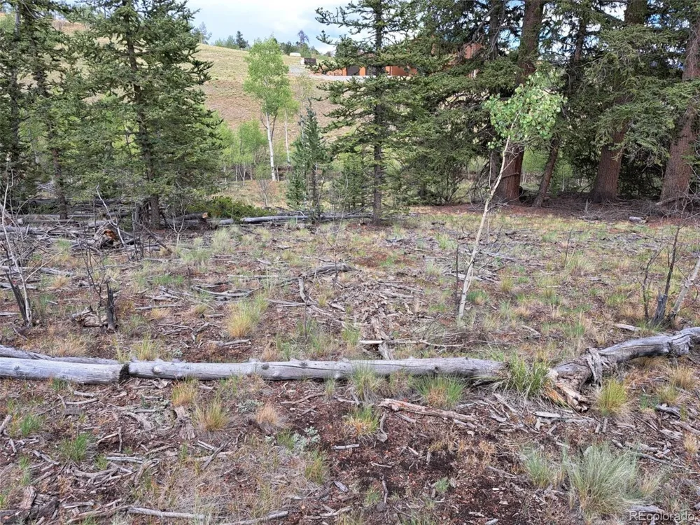 6206 Remington Road Como, CO 80432
