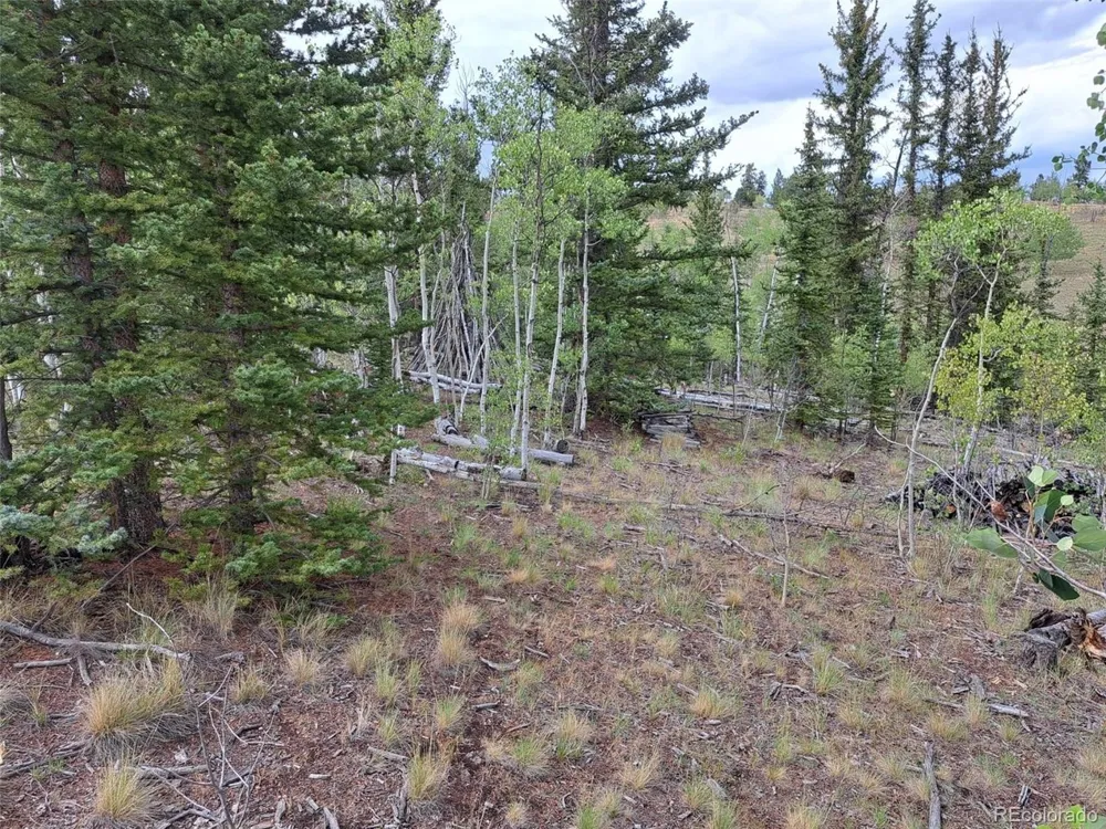 6206 Remington Road Como, CO 80432