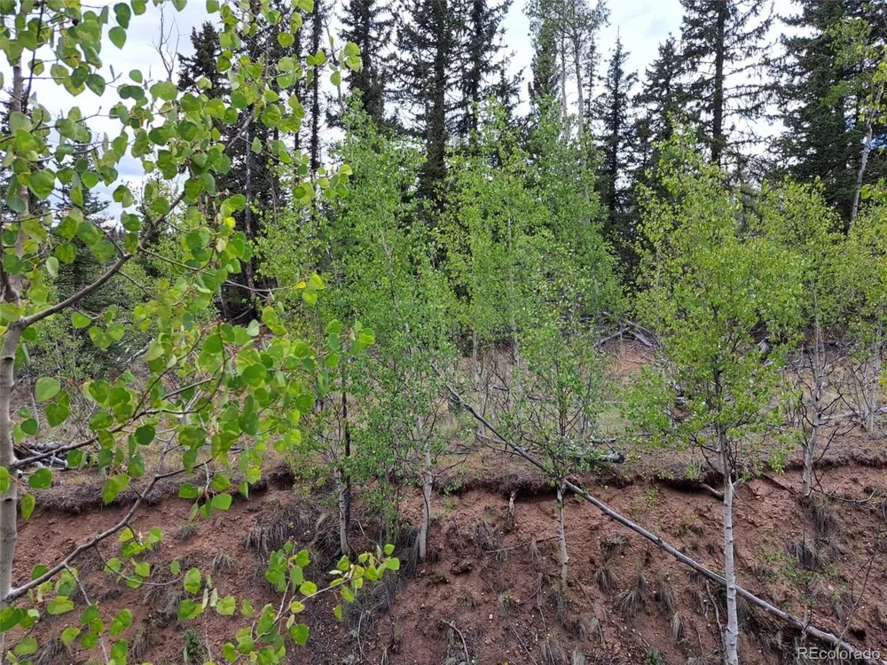 6206 Remington Road Como, CO 80432