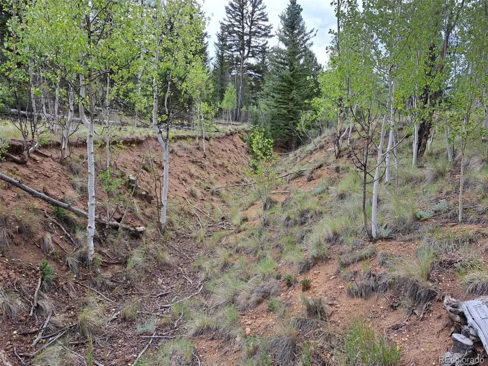 6206 Remington Road Como, CO 80432