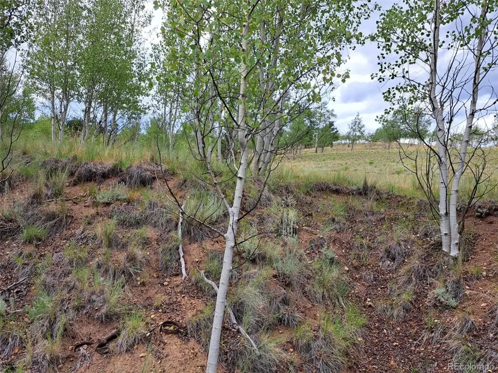 6206 Remington Road Como, CO 80432