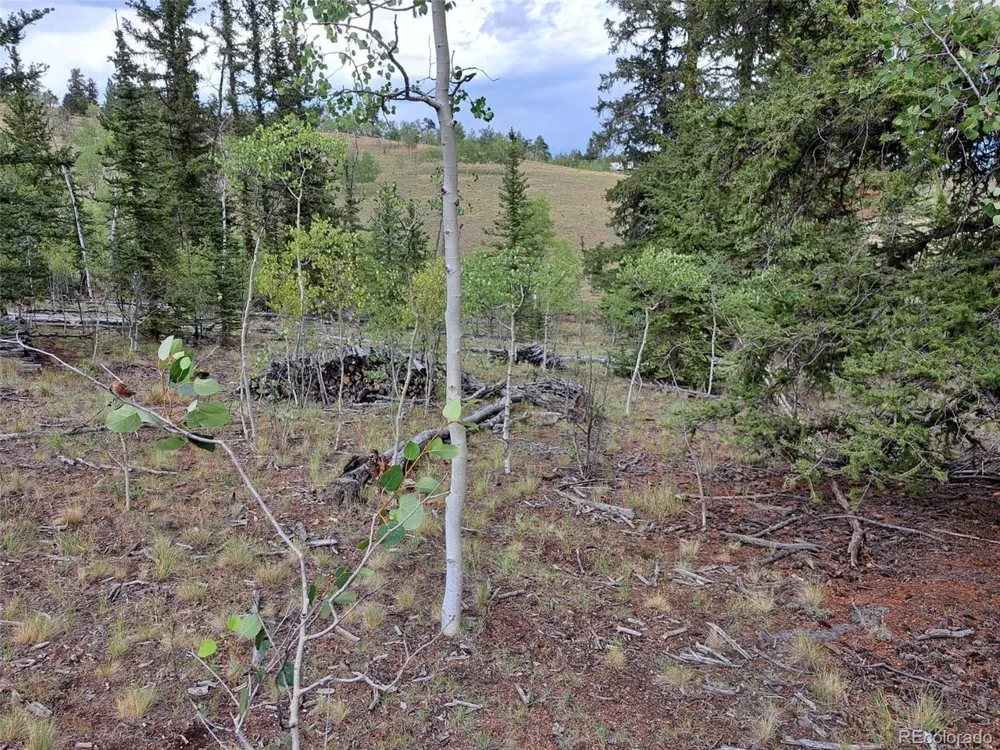 6206 Remington Road Como, CO 80432