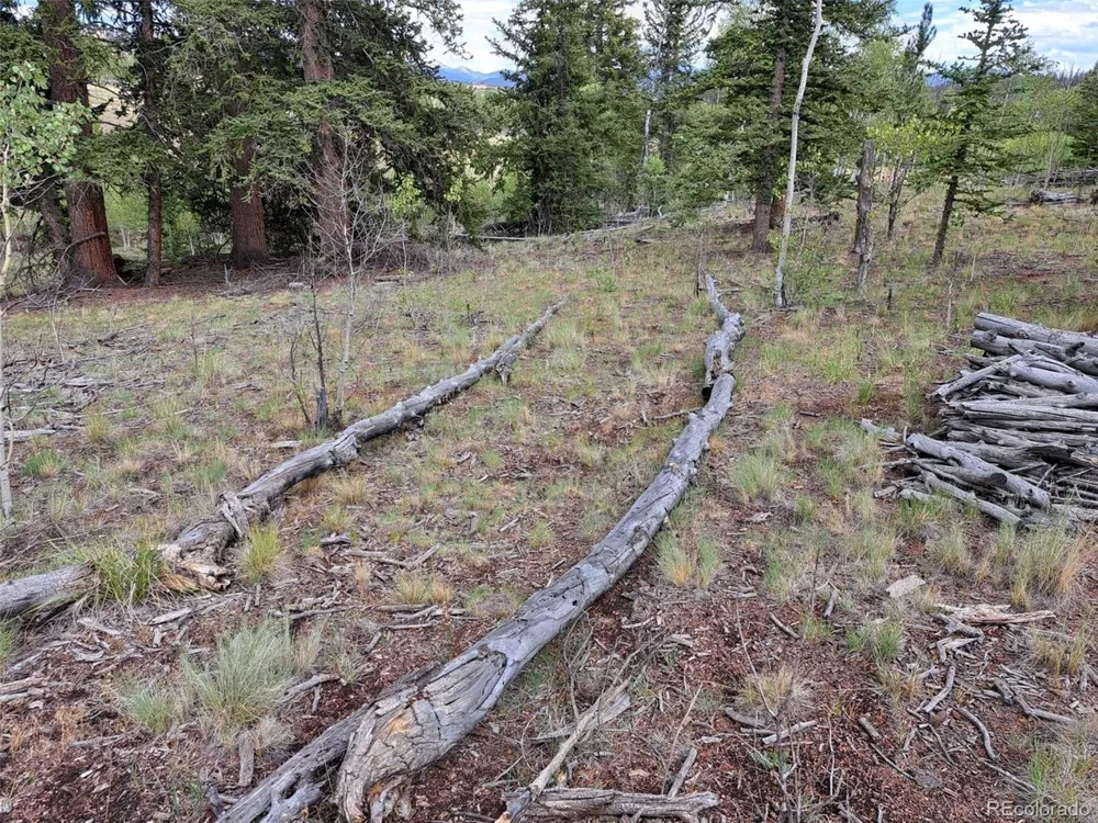 6206 Remington Road Como, CO 80432