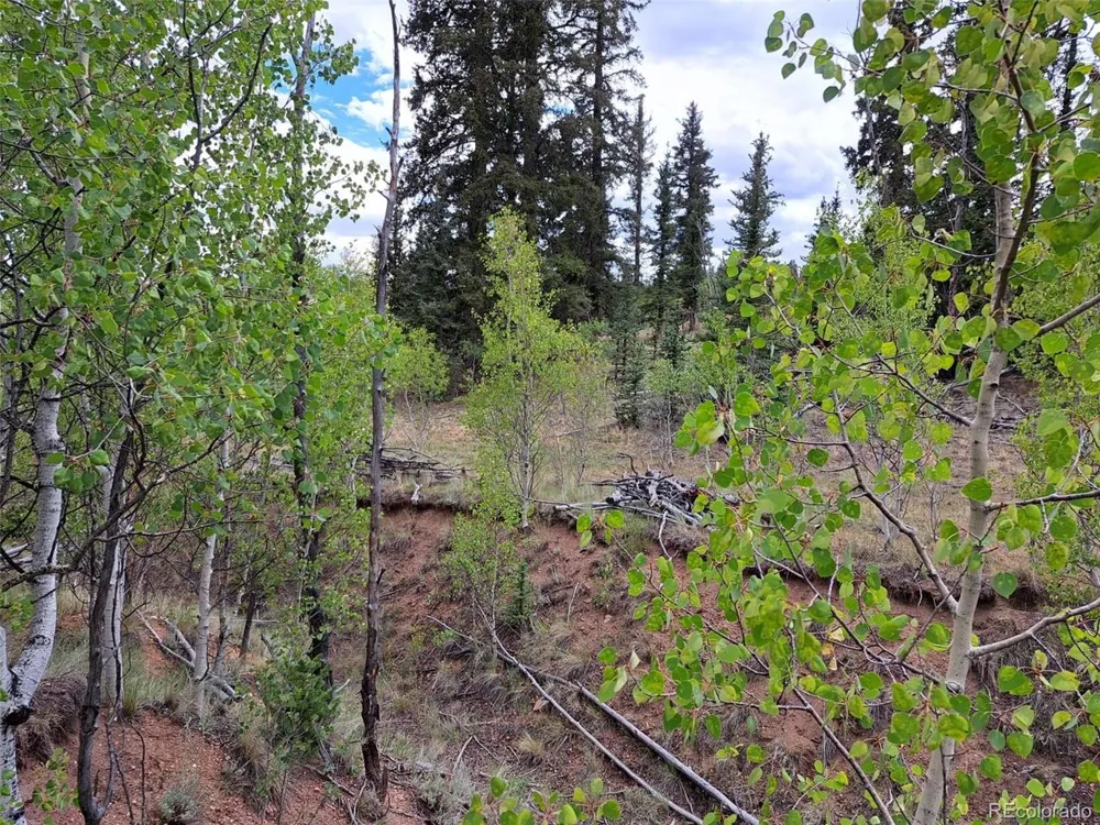 6206 Remington Road Como, CO 80432