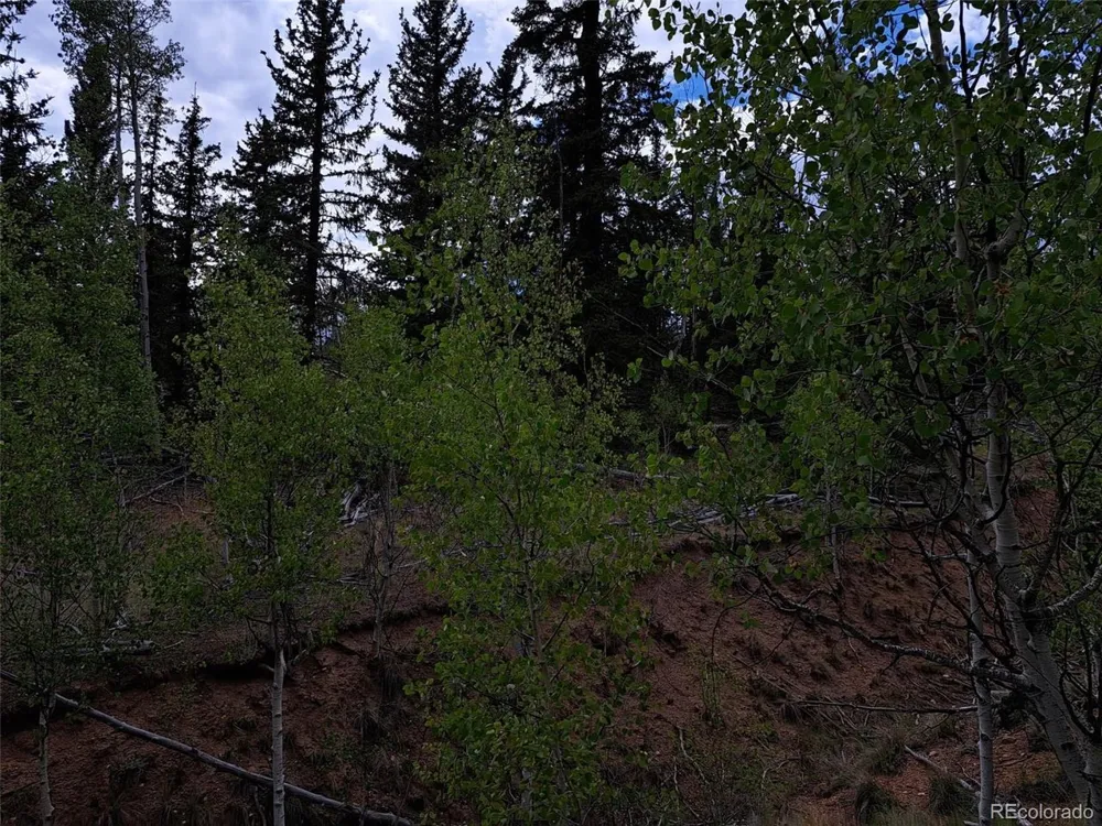6206 Remington Road Como, CO 80432