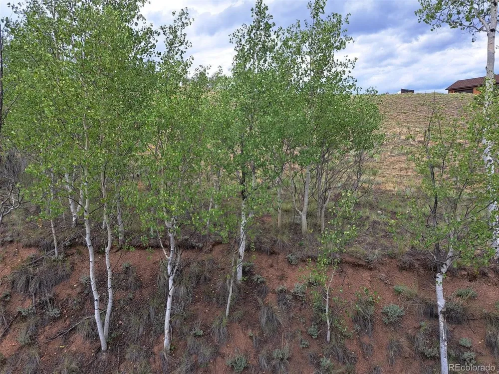 6206 Remington Road Como, CO 80432