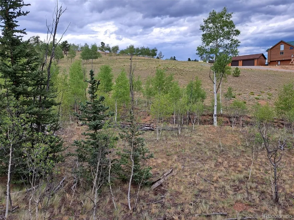 6206 Remington Road Como, CO 80432