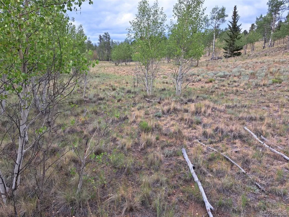 6206 Remington Road Como, CO 80432