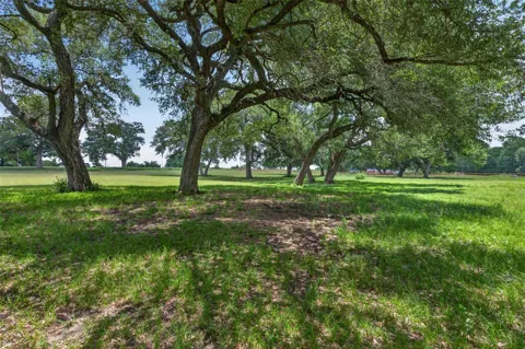 Artesian Park Lane