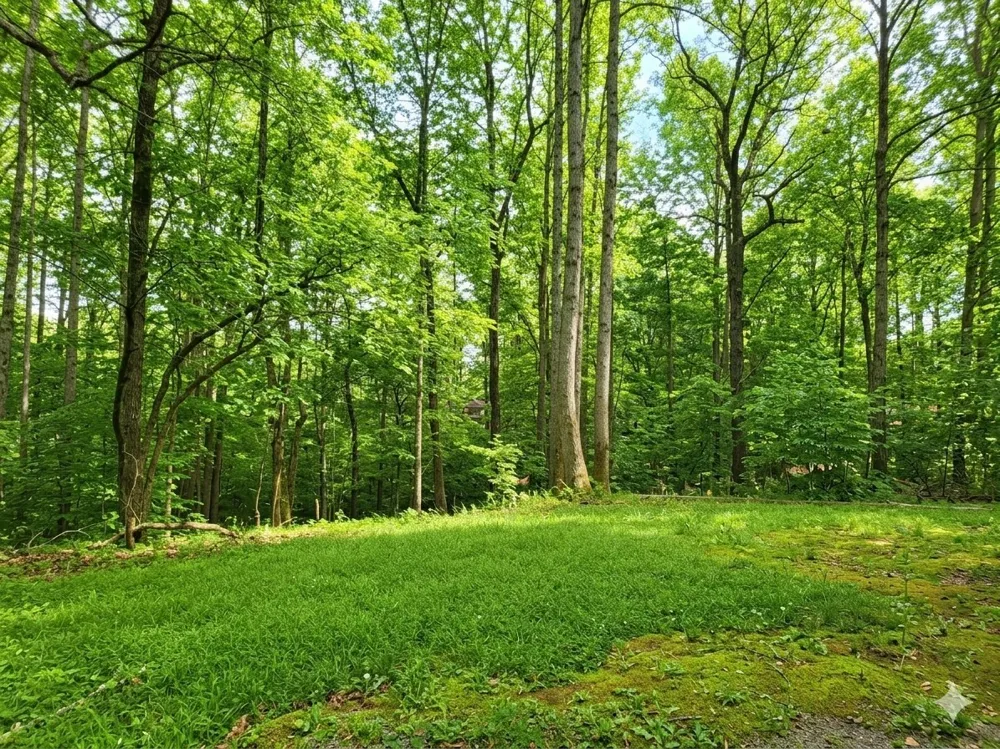 0 Periwinkle Path Leoma, TN 38468