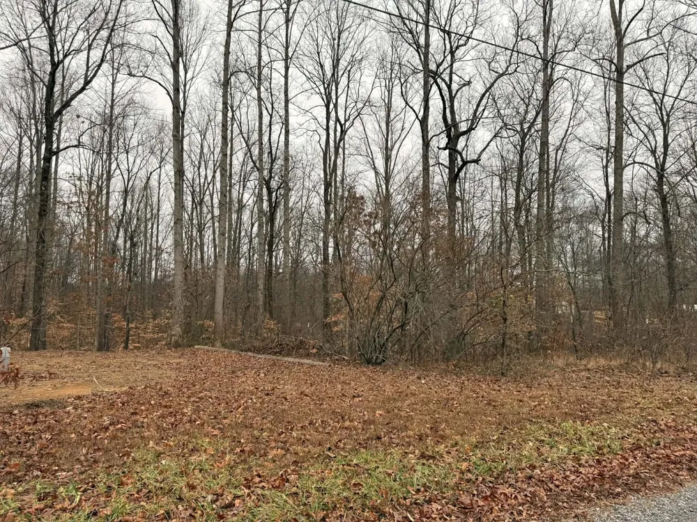 0 Periwinkle Path Leoma, TN 38468