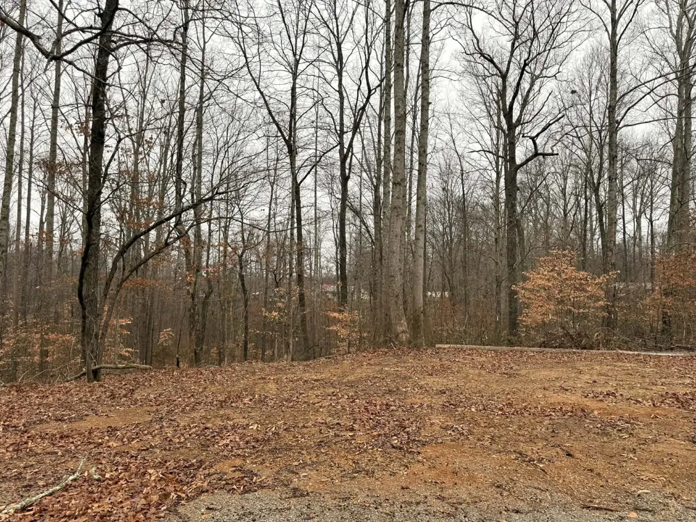 0 Periwinkle Path Leoma, TN 38468