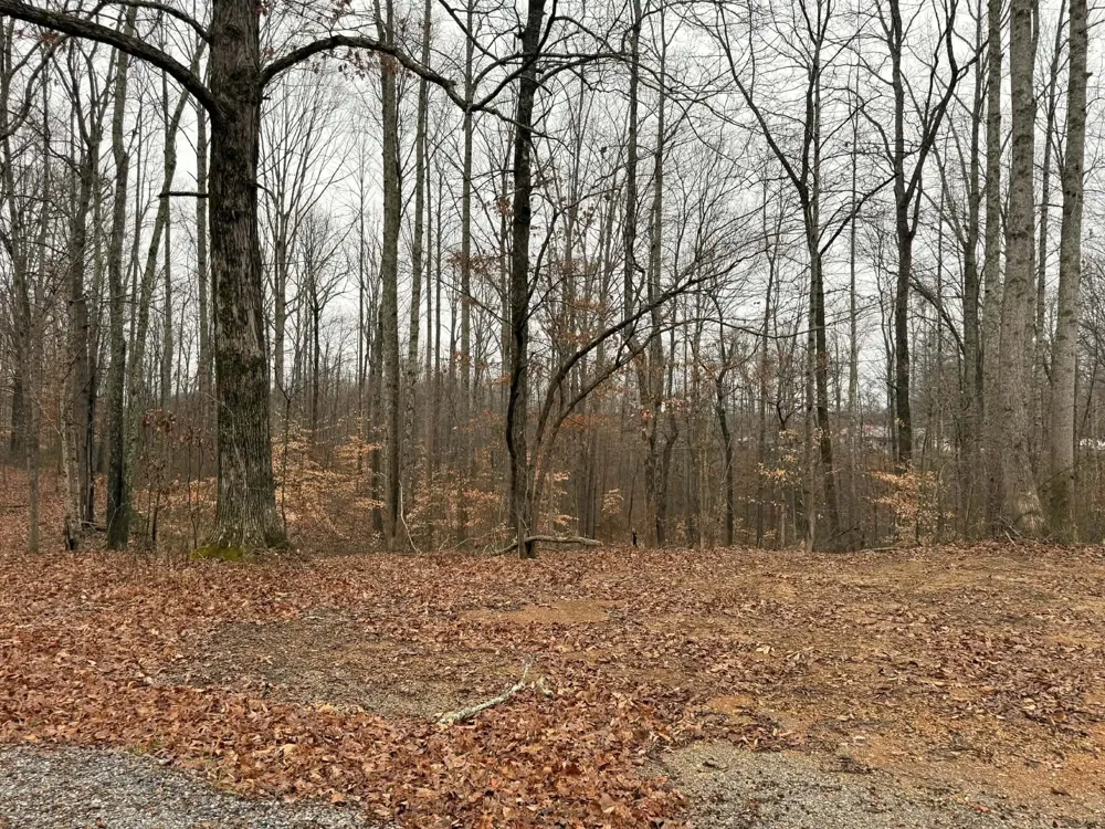 0 Periwinkle Path Leoma, TN 38468