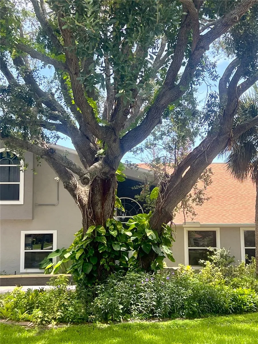1 HARRIS CIRCLE Edgewater, FL 32141