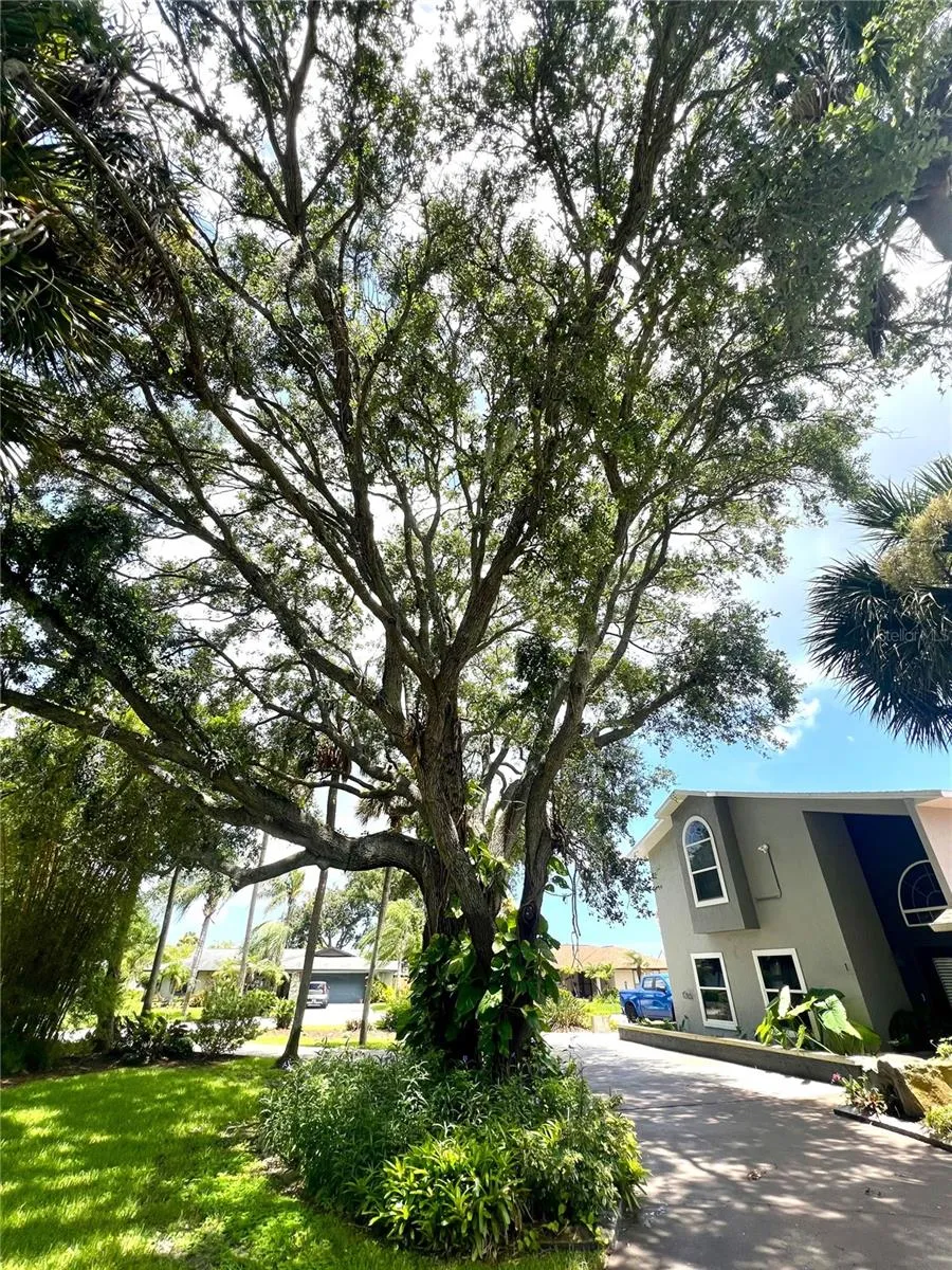 1 HARRIS CIRCLE Edgewater, FL 32141