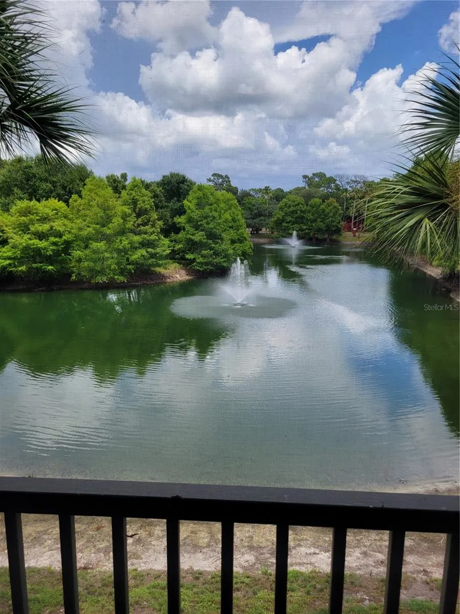 2139 CHIANTI PLACE #5-0153 Palm Harbor, FL 34683