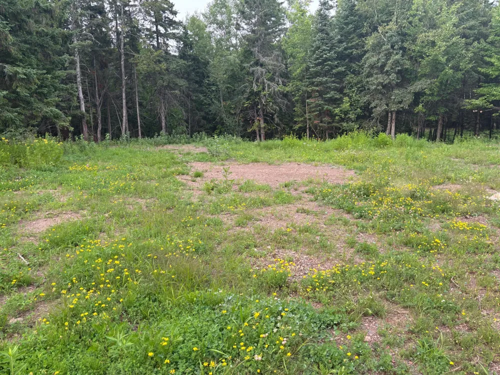 1397 Bourdage Road Two Harbors, MN 55616