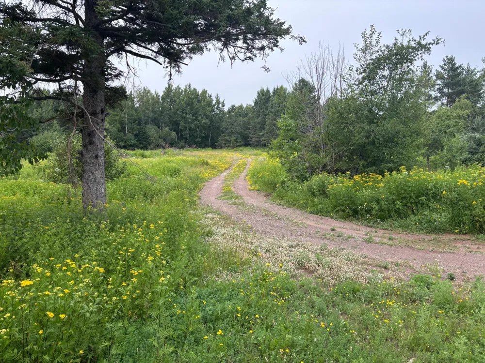 1397 Bourdage Road Two Harbors, MN 55616