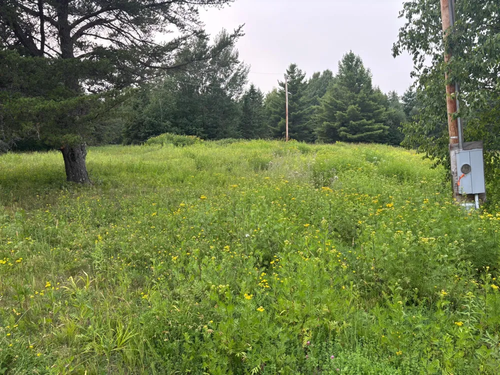 1397 Bourdage Road Two Harbors, MN 55616