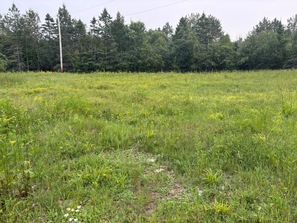 1397 Bourdage Road Two Harbors, MN 55616