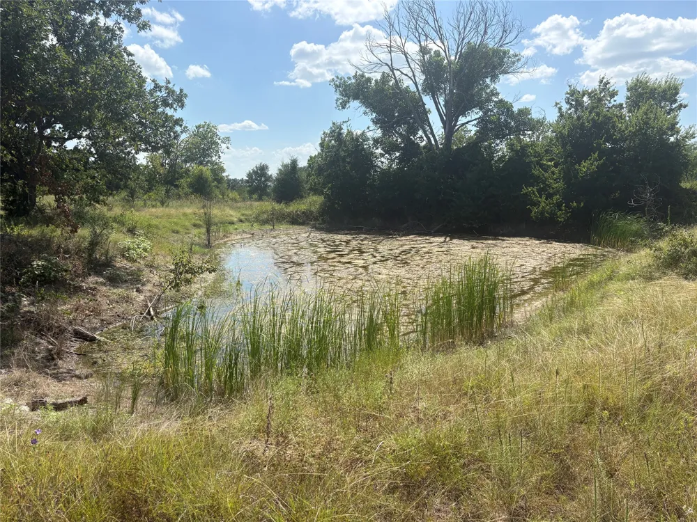 780 Approx Sixth Street Hico, TX 76457